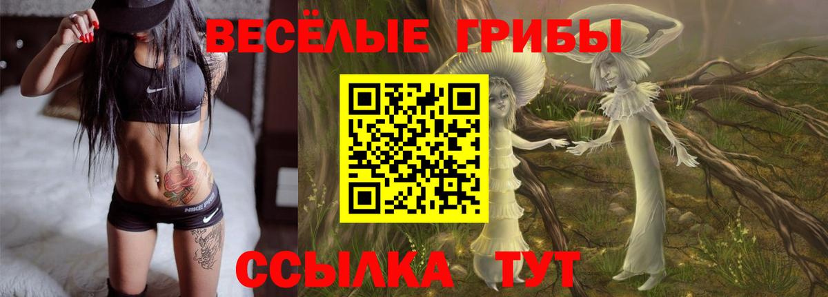 Галлюциногенные грибы ЛСД  Вход с VPN  Кизляр 