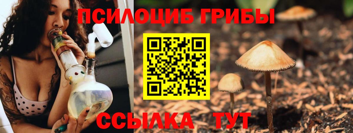Псилоцибиновые грибы GOLDEN TEACHER Кизляр